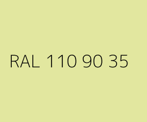 Kolor RAL 110 90 35 