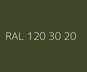 Kolor RAL 120 30 20 