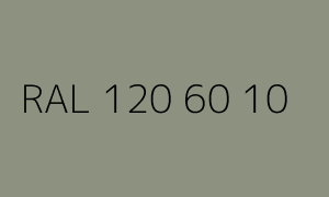 Kolor RAL 120 60 10