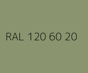 Kolor RAL 120 60 20 