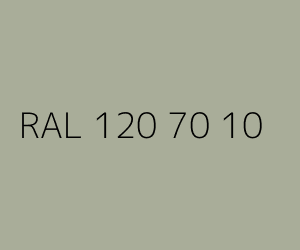 Kolor RAL 120 70 10 