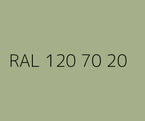Kolor RAL 120 70 20 