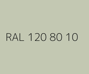 Kolor RAL 120 80 10 