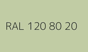 Kolor RAL 120 80 20