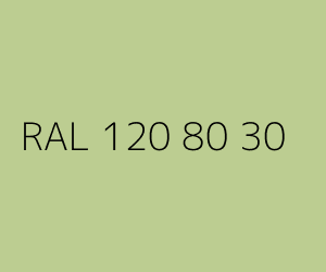 Kolor RAL 120 80 30 