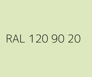Kolor RAL 120 90 20 