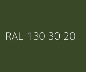 Kolor RAL 130 30 20 