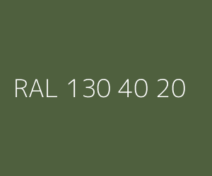 Kolor RAL 130 40 20 