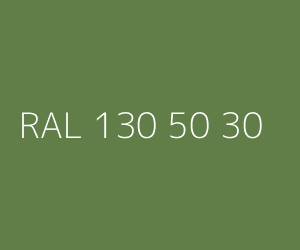 Kolor RAL 130 50 30 