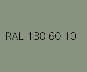 Kolor RAL 130 60 10 