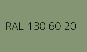 Kolor RAL 130 60 20