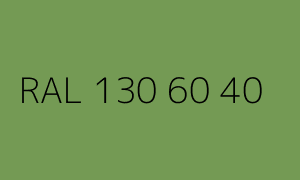 Kolor RAL 130 60 40