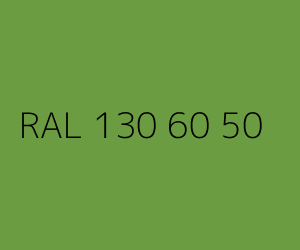 Kolor RAL 130 60 50 