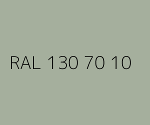Kolor RAL 130 70 10 