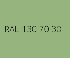 Kolor RAL 130 70 30 