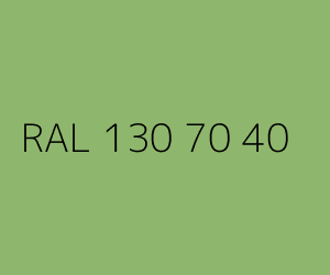 Kolor RAL 130 70 40 
