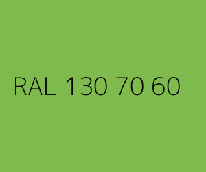 Kolor RAL 130 70 60 