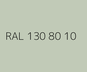 Kolor RAL 130 80 10 
