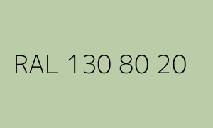 Kolor RAL 130 80 20