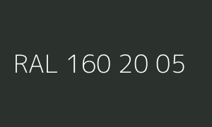 Kolor RAL 160 20 05