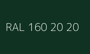 Kolor RAL 160 20 20