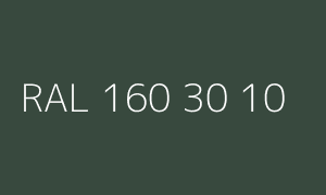 Kolor RAL 160 30 10