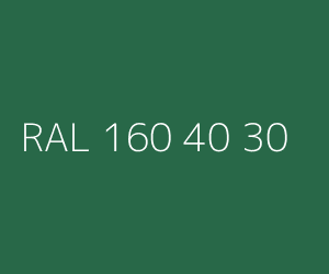 Kolor RAL 160 40 30 