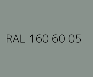 Kolor RAL 160 60 05 