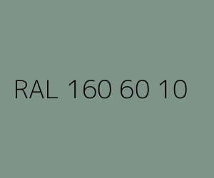 Kolor RAL 160 60 10 