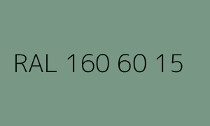 Kolor RAL 160 60 15