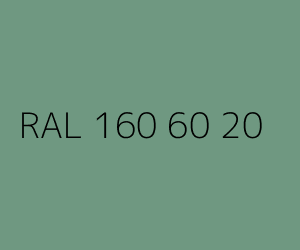Kolor RAL 160 60 20 