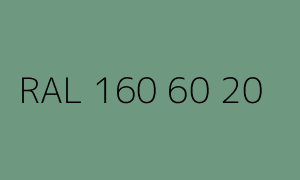 Kolor RAL 160 60 20