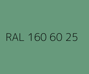 Kolor RAL 160 60 25 