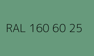 Kolor RAL 160 60 25