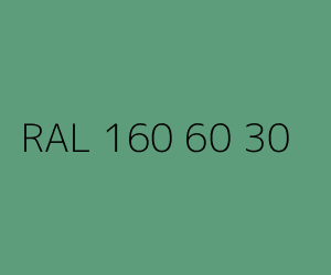 Kolor RAL 160 60 30 