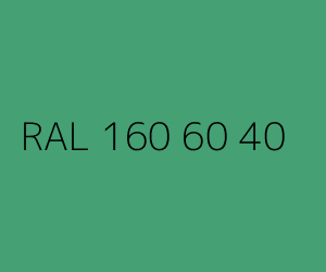 Kolor RAL 160 60 40 