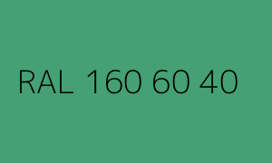 Kolor RAL 160 60 40