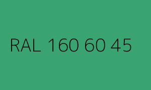 Kolor RAL 160 60 45