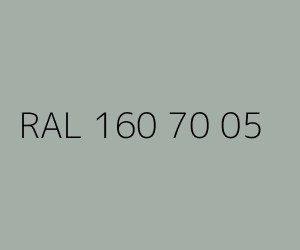 Kolor RAL 160 70 05 