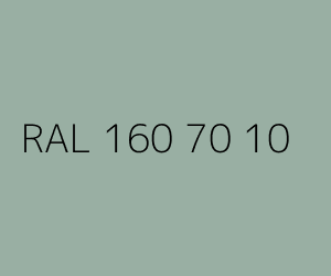 Kolor RAL 160 70 10 