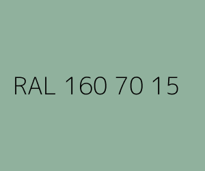 Kolor RAL 160 70 15 