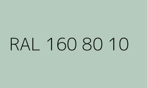 Kolor RAL 160 80 10