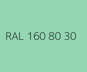 Kolor RAL 160 80 30 