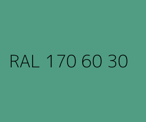Kolor RAL 170 60 30 