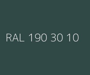 Kolor RAL 190 30 10 