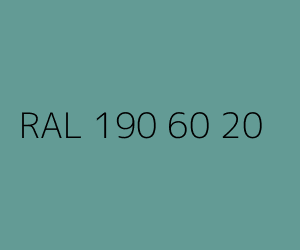 Kolor RAL 190 60 20 