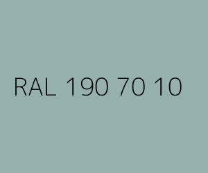Kolor RAL 190 70 10 