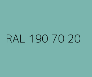 Kolor RAL 190 70 20 