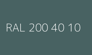 Kolor RAL 200 40 10