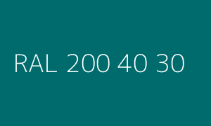 Kolor RAL 200 40 30